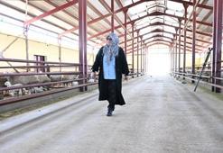 Muhasebeciliği bırakıp memleketine döndü! Hibe desteği ile hayali gerçek oldu: 'En güzel şey çalışmak'