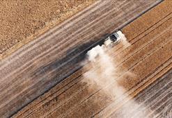 Tarım sezonunun ilk 4 ayında yağışlar geçen yıla göre yüzde 38 arttı