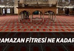 DİYANET FİTRE BEDELİ: Fitre bedeli ne kadar, ne zamana kadar verilir? 2026 Diyanet Ramazan fitresi kimlere verilir, kime verilmez, kardeşe verilir mi?