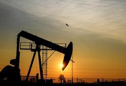 ABD'nin ticari ham petrol stokları arttı