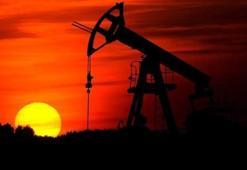 Hindistan'ın Rusya'dan ham petrol alımı arttı