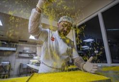 Devlet destek verdi: İşlerini büyüttü! Yılda 500 tondan fazla üretim yapıyor