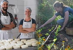 Avusturya'dan Kaz Dağları'na göç! Toprağı kazmadan üretim mümkün: 'Türkiye'de zeytin topladık ve hayatım değişti'