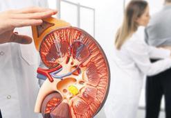 Böbrek sağlığını korumak için 8 altın kural