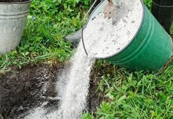 Mart ayında bahçeye kül serpen kazanıyor! Toprağı canlandıran yöntem