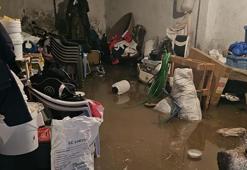 Mardin'de şiddetli yağış felakete yol açtı! Araçlar sürüklendi, hayvanlar telef oldu