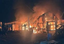 Bursa'daki çiftlikte feci yangın! 580 hayvan öldü