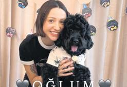 Köpeğine doğum günü