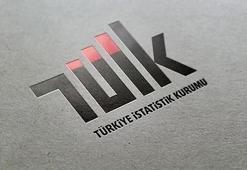 TÜİK'ten dış ticaret endeksleri kararı