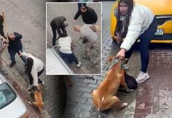 Pitbull dehşeti sonrası yeni görüntüler! Köpek sahibi müdahaleye engel oldu