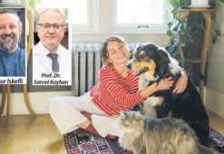 Evcil hayvanlar pasif içiciliğin gizli mağduru