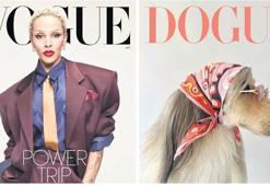 Vogue’dan Dogue davası