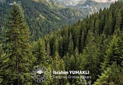 Bakan Yumaklı, Dünya Ormancılık Günü ve Orman Haftası'nı kutladı