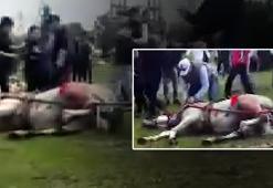Adana’da dehşet anları! Koşmayan ata acımasız işkence