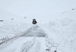 Kış bitmedi! Kar kalınlığı 1,5 metreyi aştı: Bu yıl şartlar çok ağır
