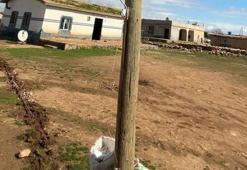 Elektrik direğinin içinden kaçak hat çıktı! Kullandıkları yöntem şaşkına çevirdi