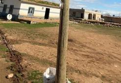 Elektrik direğinin içinden kaçak hat çıktı! Kullandıkları yöntem şaşkına çevirdi