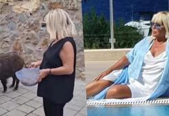 Bodrum’da ilginç anlar: Safiye Soyman domuzu elleriyle besledi!