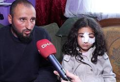 İstanbul'da sokak köpeği kabusu: Çocuklarımızı tek başına evden çıkaramıyoruz