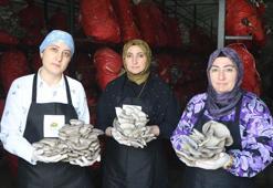 Girişimci kadınlar yılda 60 ton istiridye mantarı üretiyor