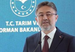 ‘Kuraklık artık evimizin içinde’