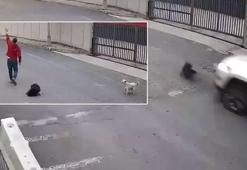 Avcılar’da cip sürücüsü köpeği ezdi yoluna devam etti