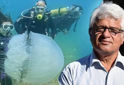 Antalya Körfezi'nde 10 kiloluk dev tehlike! Uzmanı uyardı: Sakın yaklaşmayın