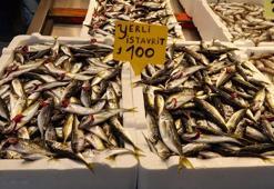 Av yasağına sayılı günler kala tezgahlarda balık bolluğu