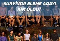 SURVİVOR ELEME ADAYI: 30 Mart Survivor dokunulmazlık oyununu hangi takım kazandı ve eleme potasına kim girdi?