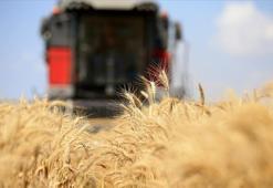 Orta Doğu gerilimi tarım emtia fiyatlarını yukarı taşıdı