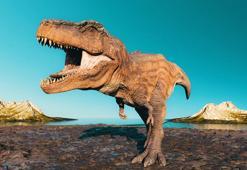 Dinozorlar hakkında en yaygın 6 efsane ve gerçekler