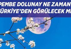 PEMBE DOLUNAY GELİYOR! Baharın habercisi Pembe Dolunay ne zaman, saat kaçta görülecek, Türkiye'den izlenecek mi?