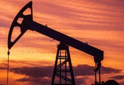 ABD'nin ticari ham petrol stokları arttı