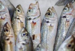 Tezgahın favorisi istavrit değilmiş! Pazarda kapış kapış satılıyor, hepsinden daha ucuz