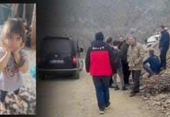 Bitlis'te her yerde aranan 5 yaşındaki Rabia'dan sevindiren haber