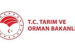TAKLİT TAĞŞİŞ LİSTESİ (HİLELİ GIDALAR) NİSAN 2026📍 Ünlü peynir markası da bu listede! Tarım ve Orman Bakanlığı taklit ve tağşiş listesini yeniledi!