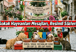4 NİSAN SOKAK HAYVANLARI GÜNÜ 🐶🐱🦅 Sokak Hayvanları Mesajları, Resimli Sözleri! 4 Nisan Dünya Sokak Hayvanları Günü mesajı ve sözü