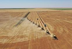 Toprağın korunması için arazi kullanım planları hazırlanacak