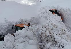 Burası Türkiye! Nisan ayında beyaz sürpriz: 4 metrelik kar kenti yuttu