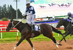Dapper Man, Akdeniz Derbisi'ni kazandı!