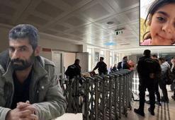 Narin davasında kan donduran itiraflar! Nevzat Bahtiyar konuştu, salon karıştı... 4 yıl 6 aydan ağırlaştırılmış müebbete