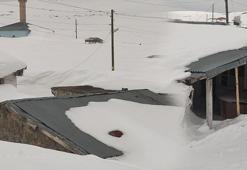 Bülbülan Yaylası'nda evler kara gömüldü