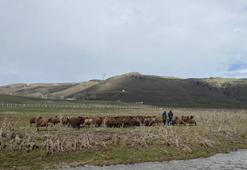 120 bin TL maaşla çalışacak eleman yok! 'Zor ve emek isteyen bir iş, kimse yapmak istemiyor'
