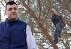 Kilosu 3 bin TL, işçi yevmiyesi 3 bin 500 TL! 'Kazanç iyi ama işçi bulamıyoruz'