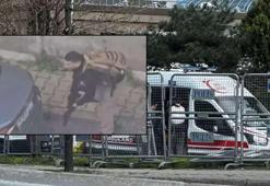 ABD'li Büyükelçi Tom Barrack, İstanbul'da İsrail Konsolosluğu önünde yaşanan çatışmaya ilişkin açıklama yaptı