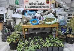 Ev değil 'uyuşturucu üssü' çıktı! Kaçak elektrikle kurduğu sistem şaşkına çevirdi