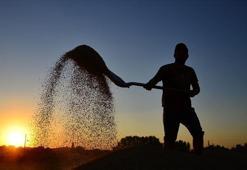 Çiftçilere destek ödemesi bugün yapılacak