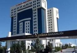 MAZOT GÜBRE DESTEĞİ 2026 YATTI MI? Tarımsal destek ödemeleri ne zaman yatacak? Mazot gübre desteği ödemesi nereden sorgulanır?