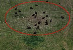 Doğanın devleri aynı anda ortaya çıktı! Türkiye'de nadir görülen an