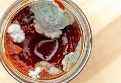 Domates salçası bu yöntemle küflenmiyor! Can suyu zeytinyağındaymış, havaya temas etmiyor